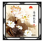 国画荷花