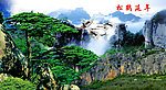 黄山迎客松