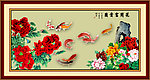 牡丹花
