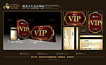 VIP 高档VIP