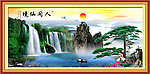黄山迎客松