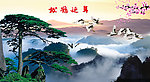 黄山迎客松