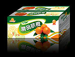 精品脐橙包装箱展开图