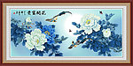 牡丹 花开富贵