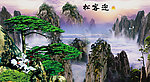 黄山迎客松