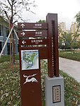 指示牌
