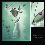 玫瑰花