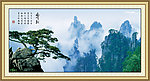 黄山迎客松