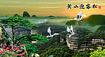 黄山迎客松