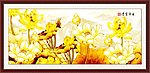 国画荷花