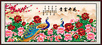 牡丹花开