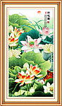 国画荷花