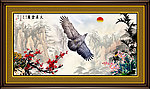雄鹰