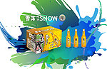 雪花啤酒包装设计平面图