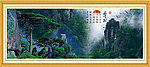 黄山迎客松