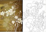 玉兰花 玉兰