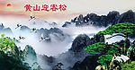 迎客松