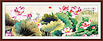 国画荷花
