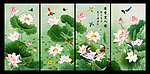 荷花