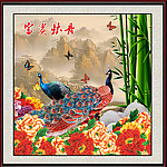 孔雀