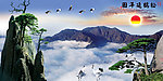黄山迎客松