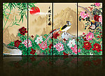 富贵牡丹花