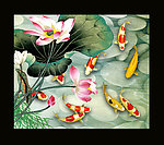 国画荷花