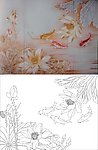 荷花鱼 莲花 玉兰