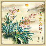 兰花