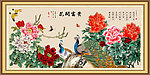 牡丹 花开富贵