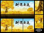 发财树