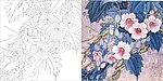 牵牛花