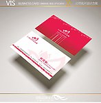 女性名片