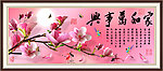 玉兰花