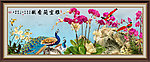 兰花 雅室兰香