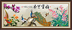 兰花 雅室兰香