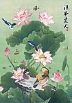荷花