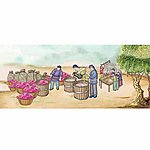 粉条 手工红薯粉条
