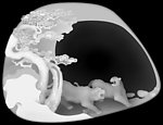 浮雕灰度图