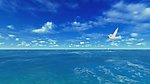 唯美大海视频
