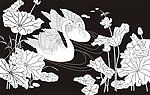天鹅 荷花 荷塘
