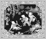 浮雕灰度图