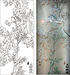 玉兰花 鸟