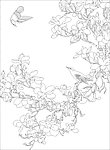 玉兰花鸟(未闭合路径)