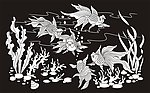 金鱼 水草鱼