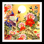 花好月圆 孔雀