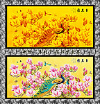 玉兰花