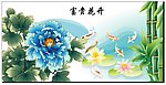 富贵花开