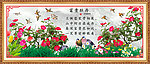 玫瑰 花开富贵