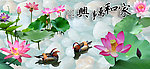 荷花